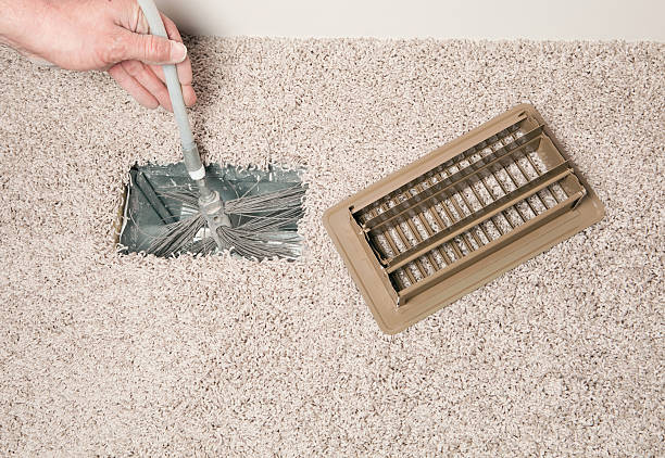 Best Air Duct Mold Removal  in Lewisburg, WV